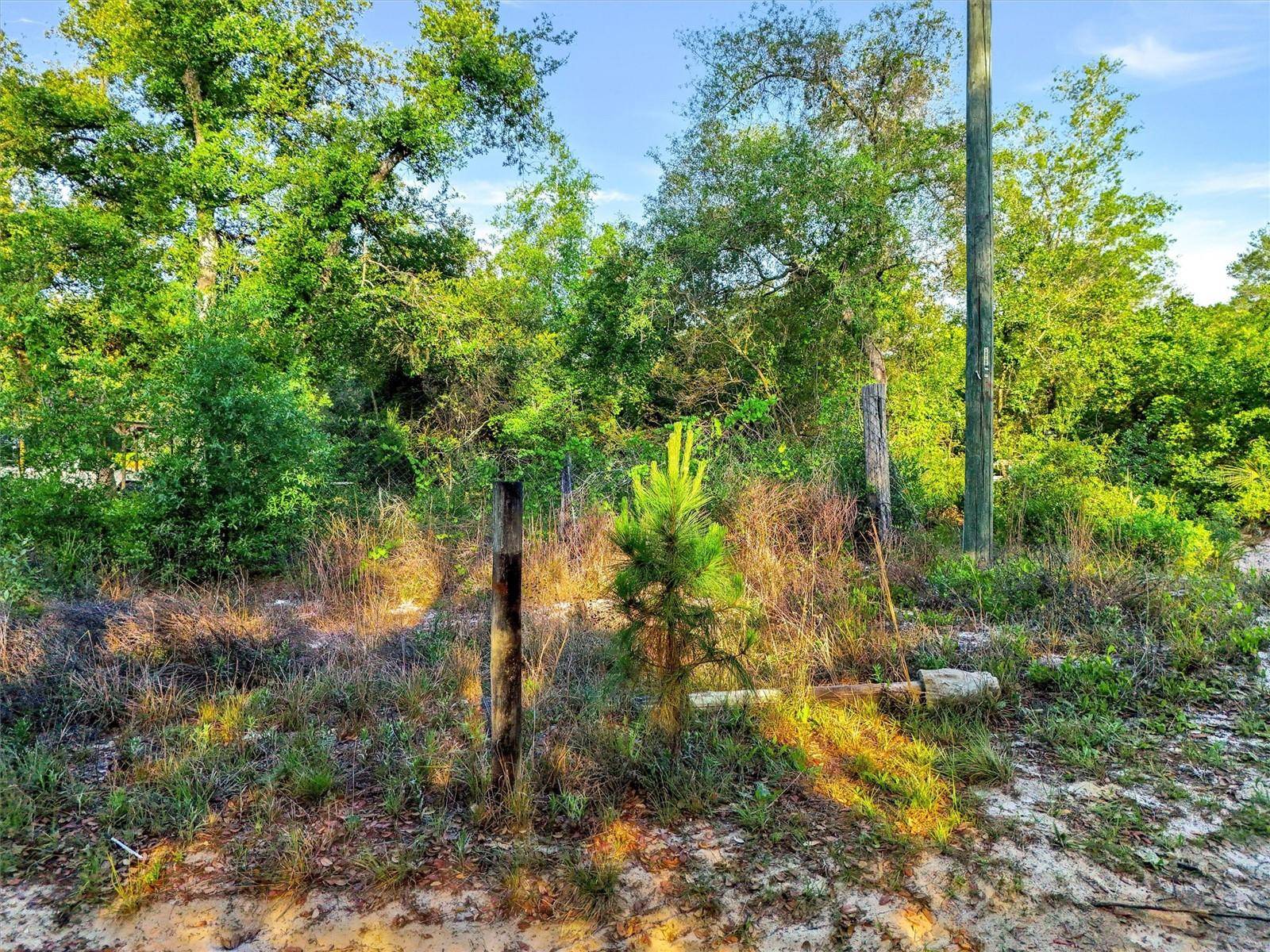 JEWELL DR, Deland, FL 32720