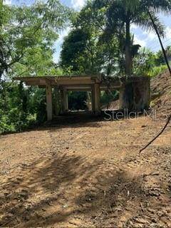 RD 942, Gurabo, PR 00778