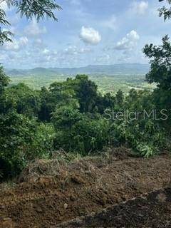 RD 942, Gurabo, PR 00778