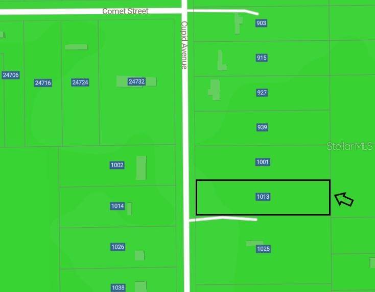 1013 CUPID AVE, Christmas, FL 32709
