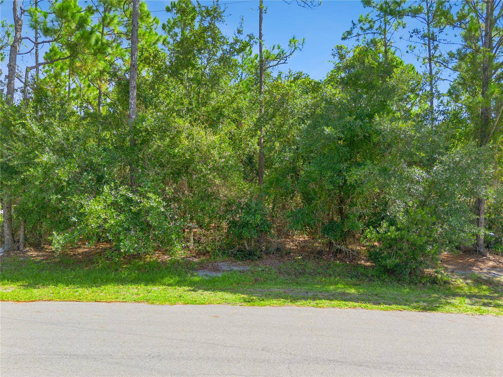 MUSTANG, St Cloud, FL 34771