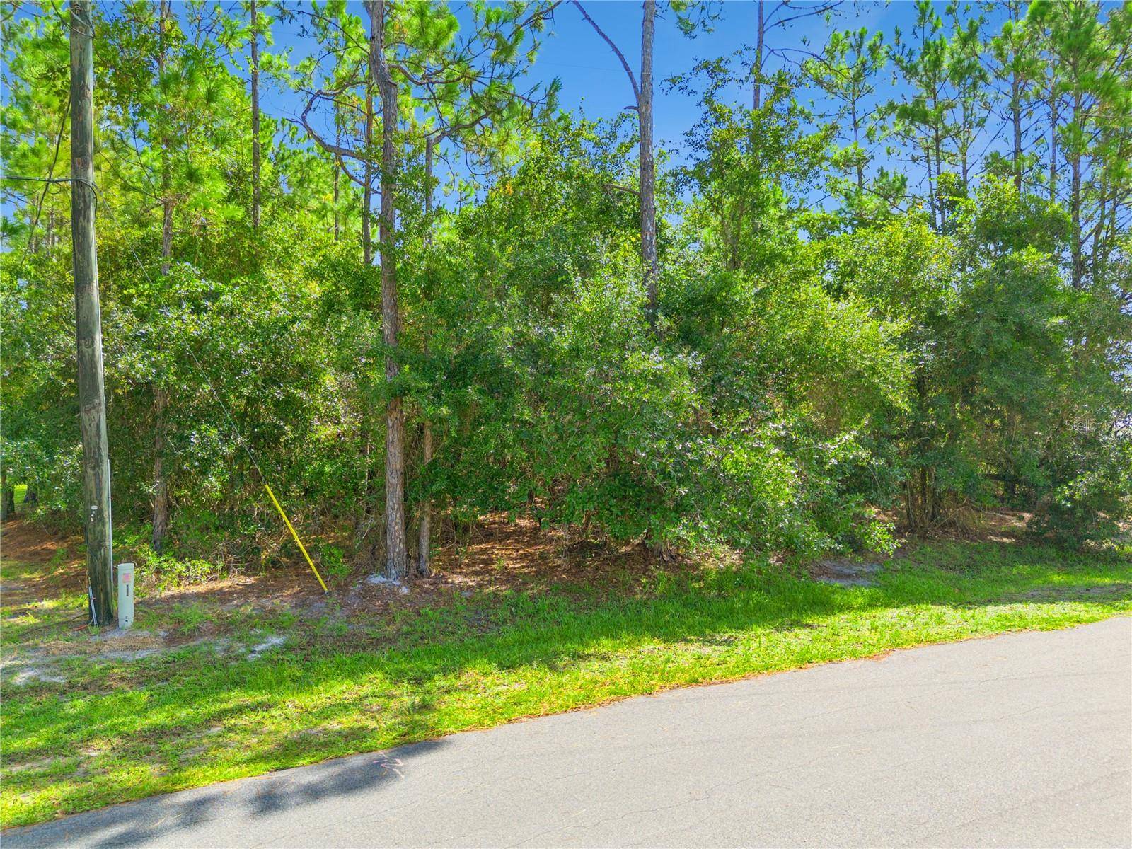 MUSTANG, St Cloud, FL 34771