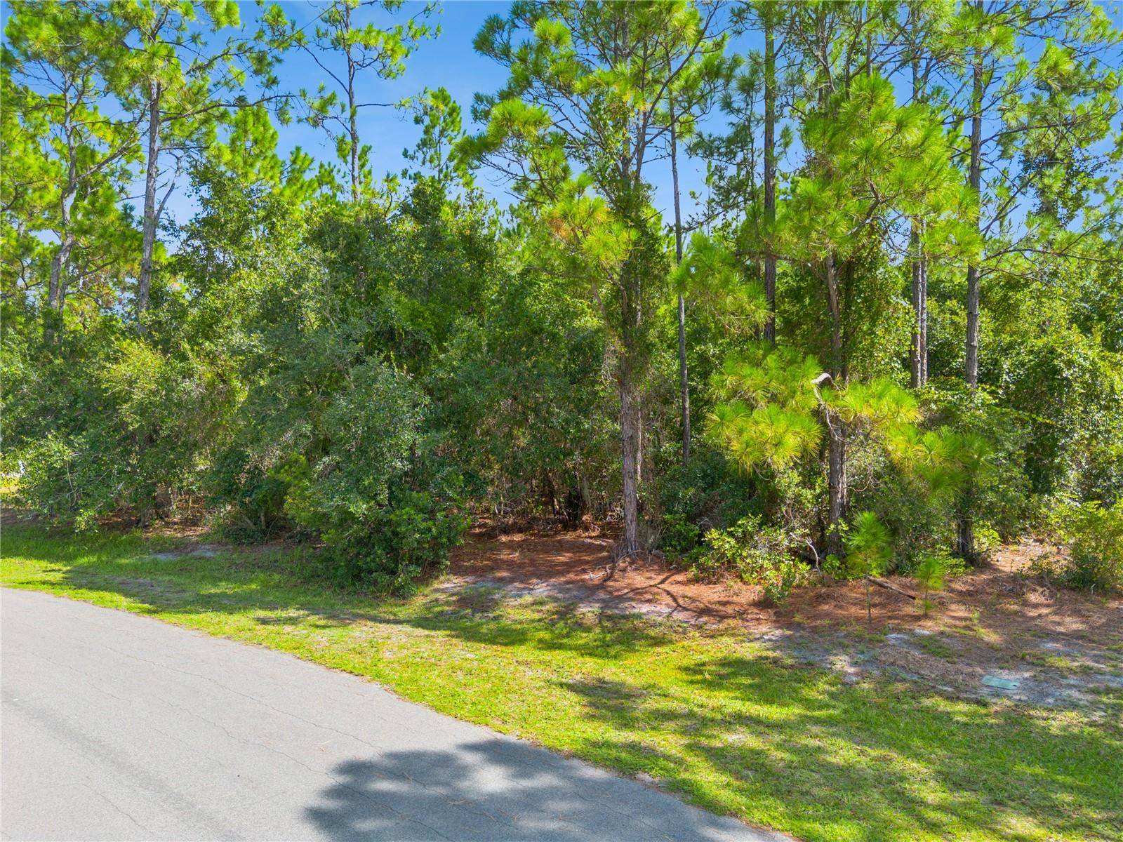 MUSTANG, St Cloud, FL 34771