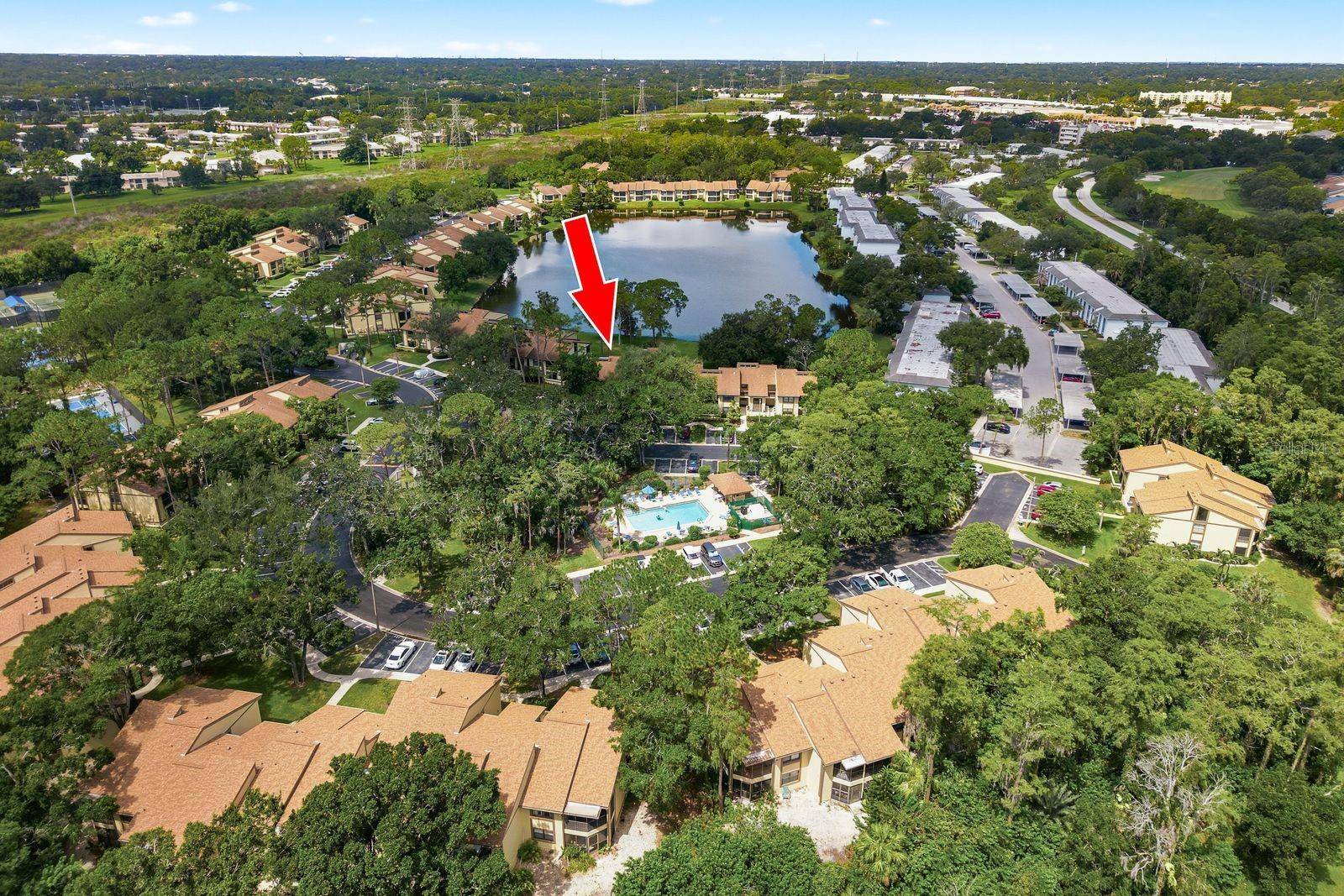 10 WOODLAKE PL, Oldsmar, FL 34677