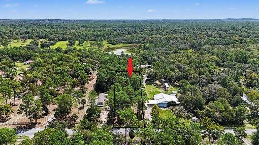 1393 S CANDLENUT AVE, Homosassa, FL 34448