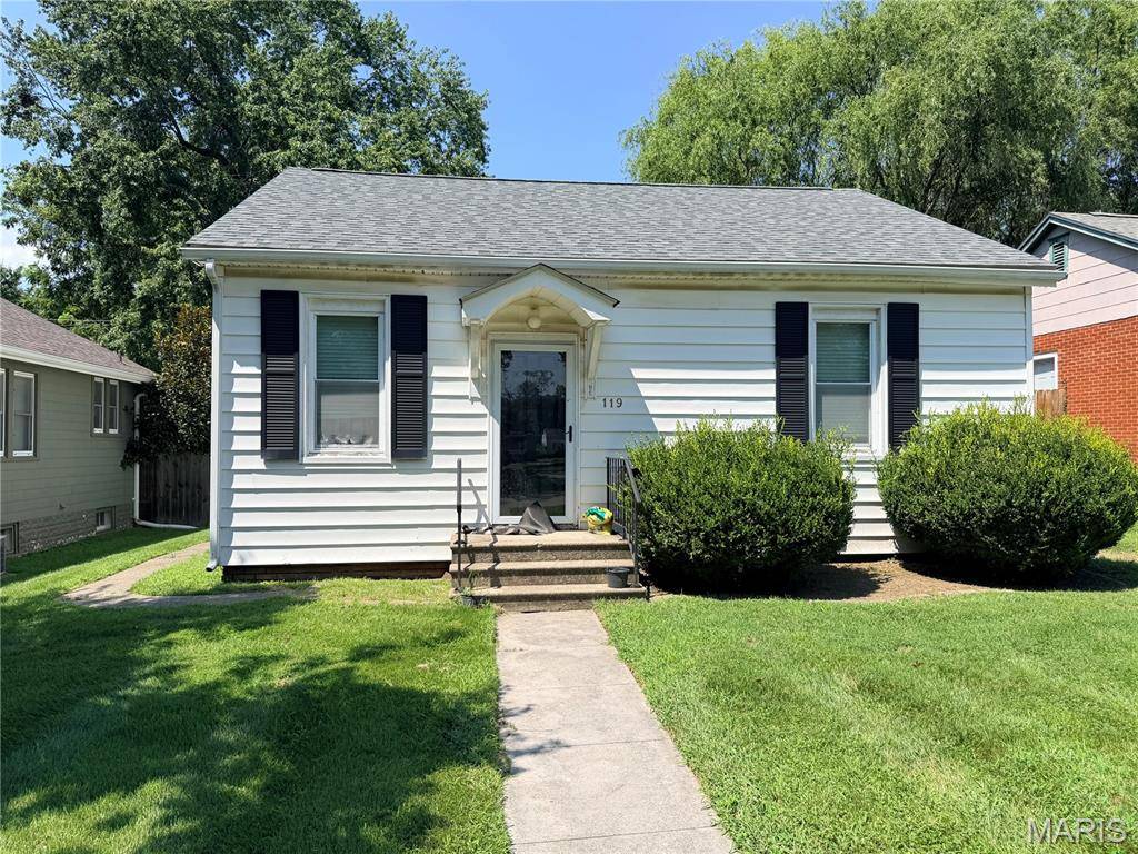 119 N 40th ST, Belleville, IL 62226