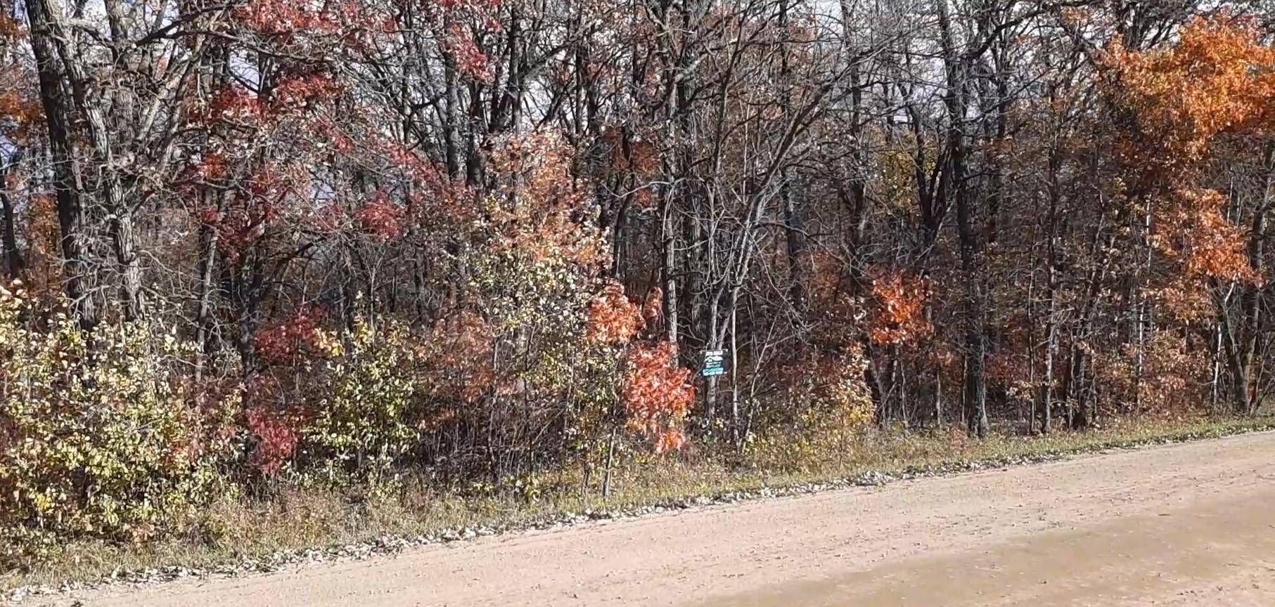 TBD 285 AVE, Browerville, MN 56438
