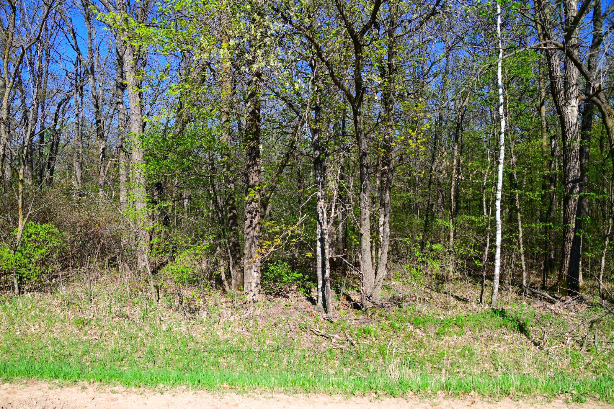TBD 285 AVE, Browerville, MN 56438