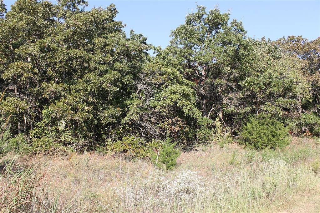 Stonetree CT, Luther, OK 73054