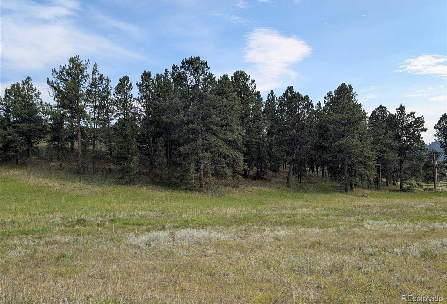 1379 S Mountain Estates RD, Florissant, CO 80816