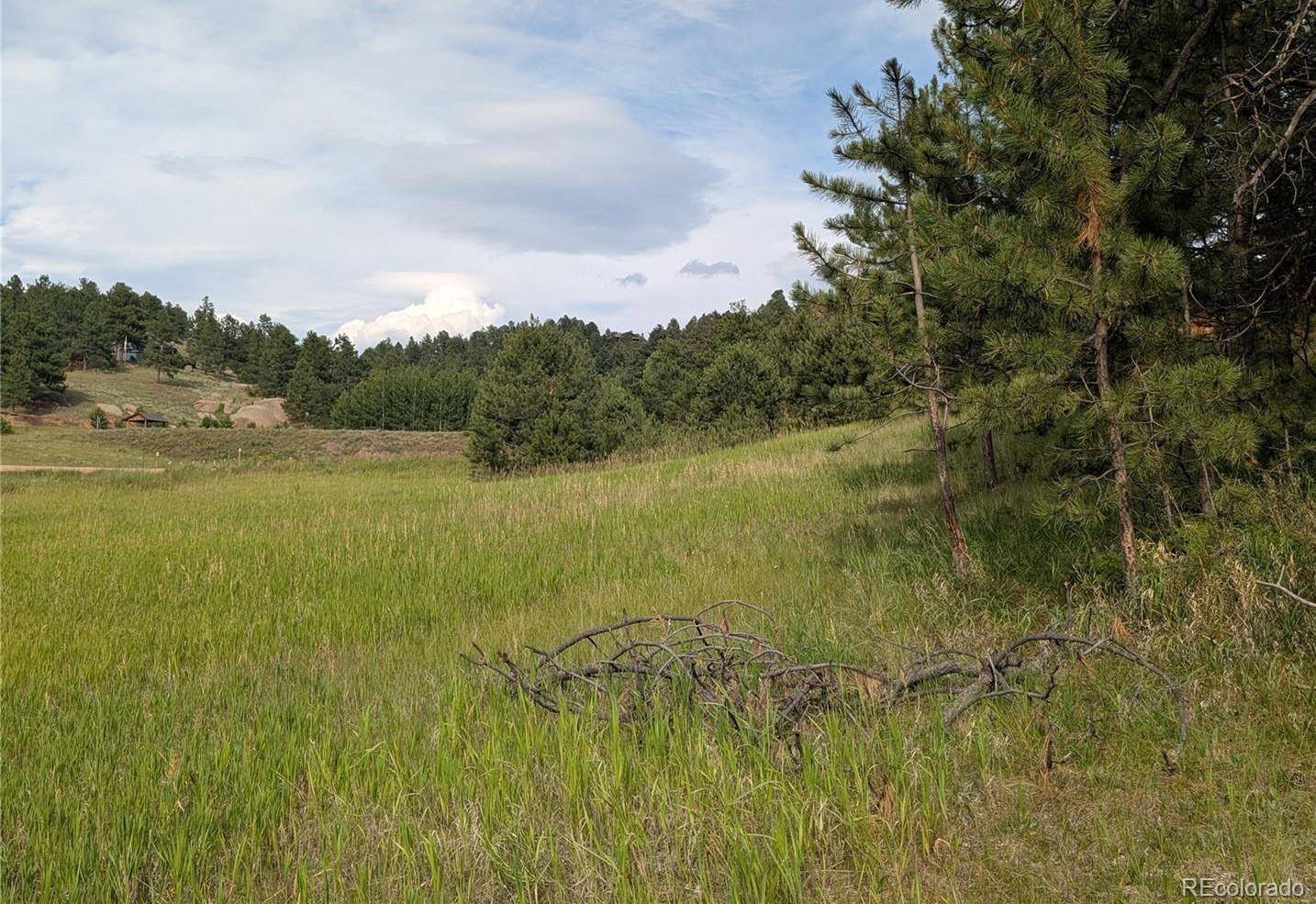 1379 S Mountain Estates RD, Florissant, CO 80816