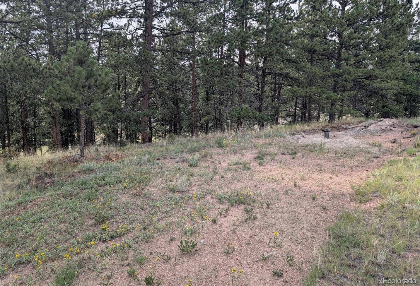 1379 S Mountain Estates RD, Florissant, CO 80816