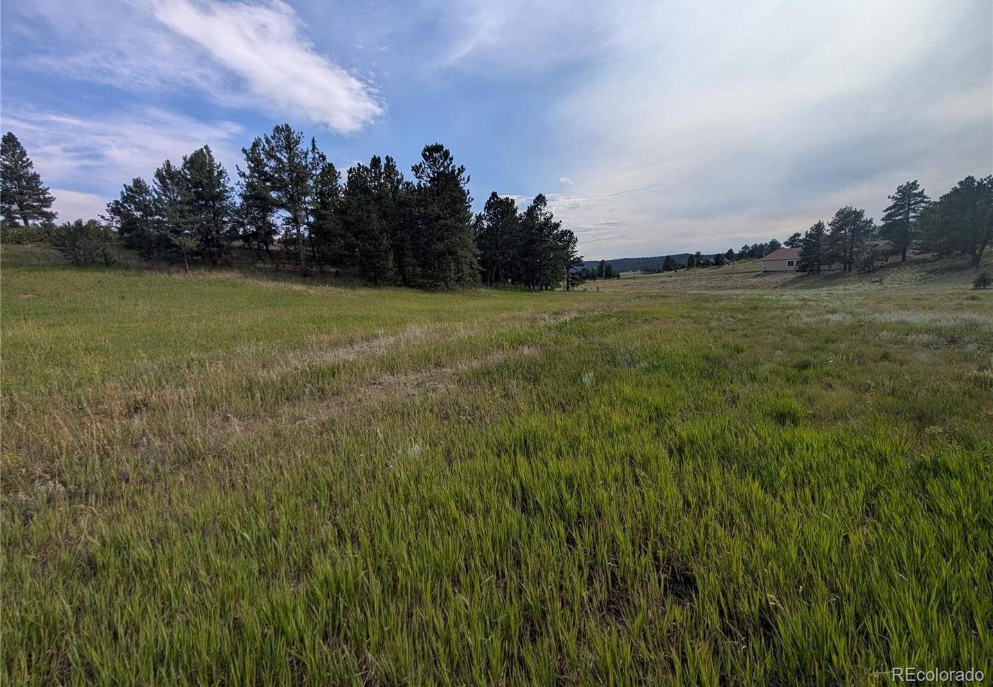 1379 S Mountain Estates RD, Florissant, CO 80816