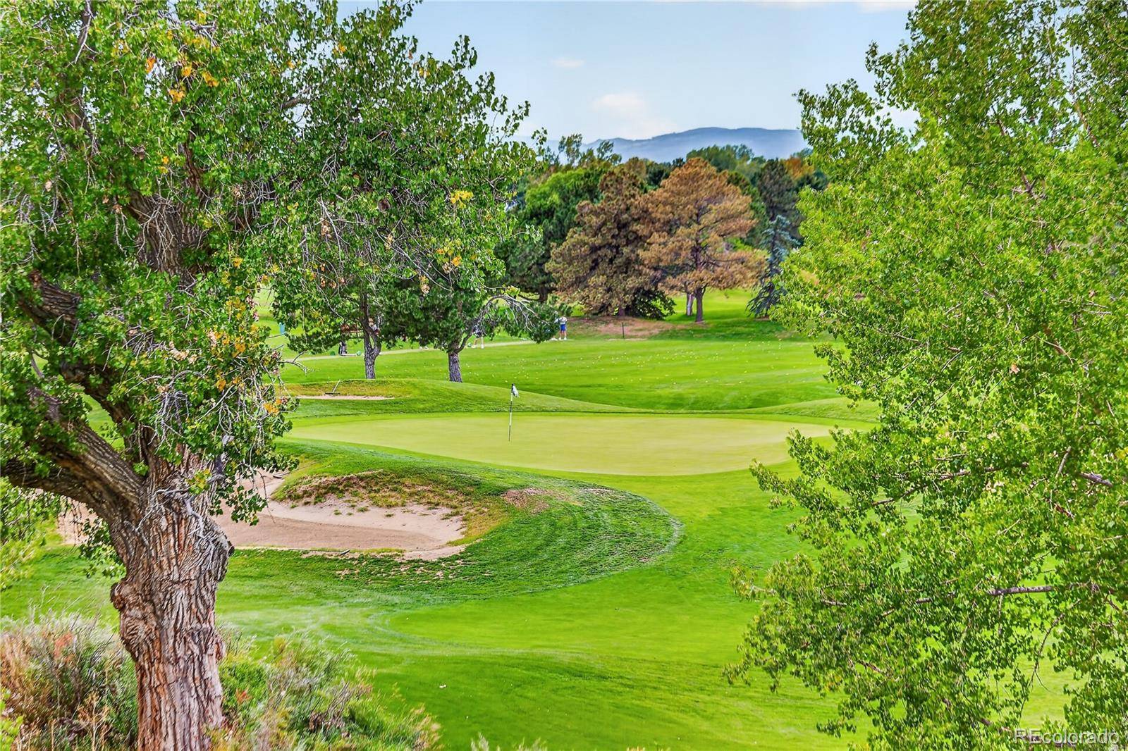 6414 Silver Mesa DR #E, Highlands Ranch, CO 80130