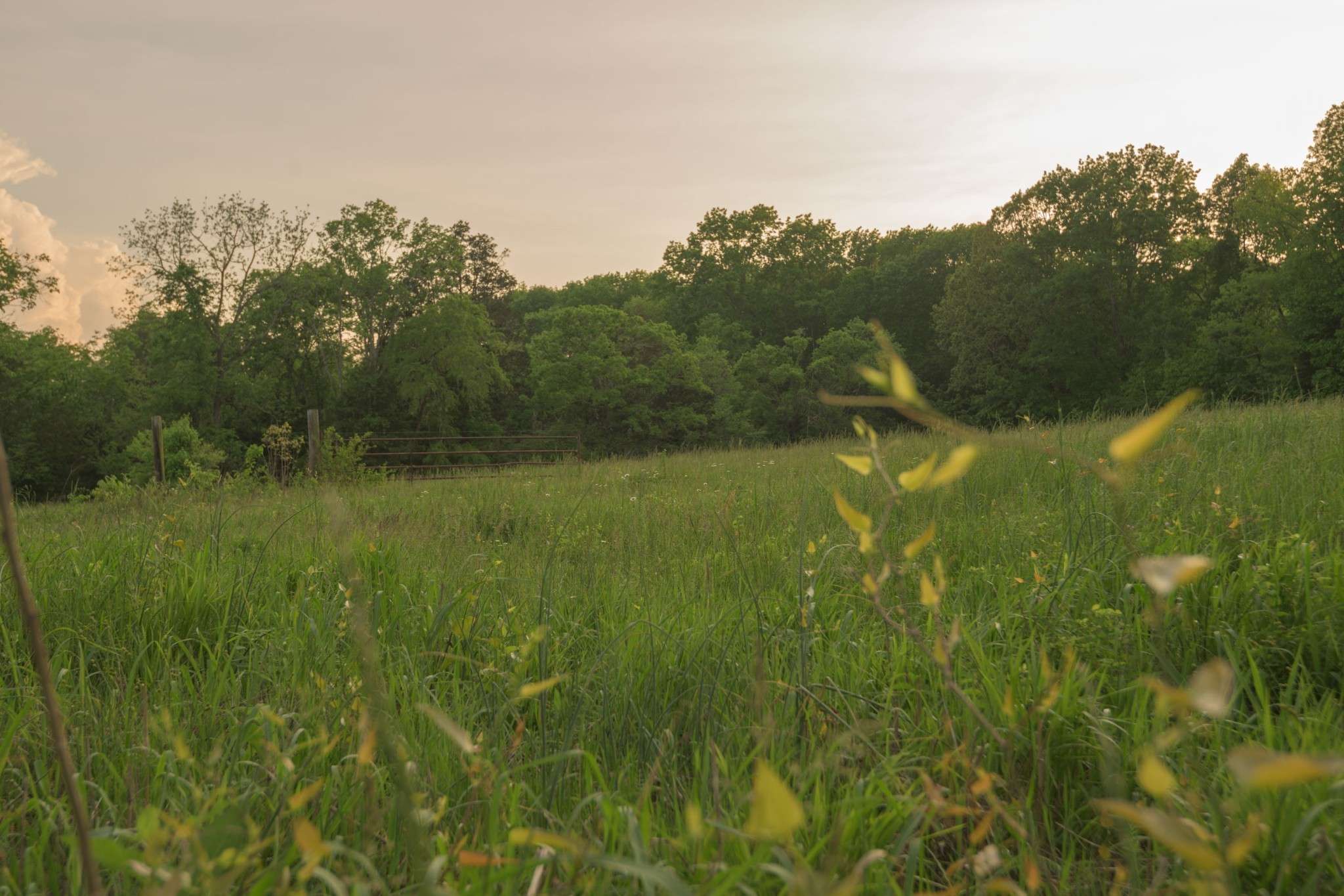 775 Railroad Rd, Wartrace, TN 37183