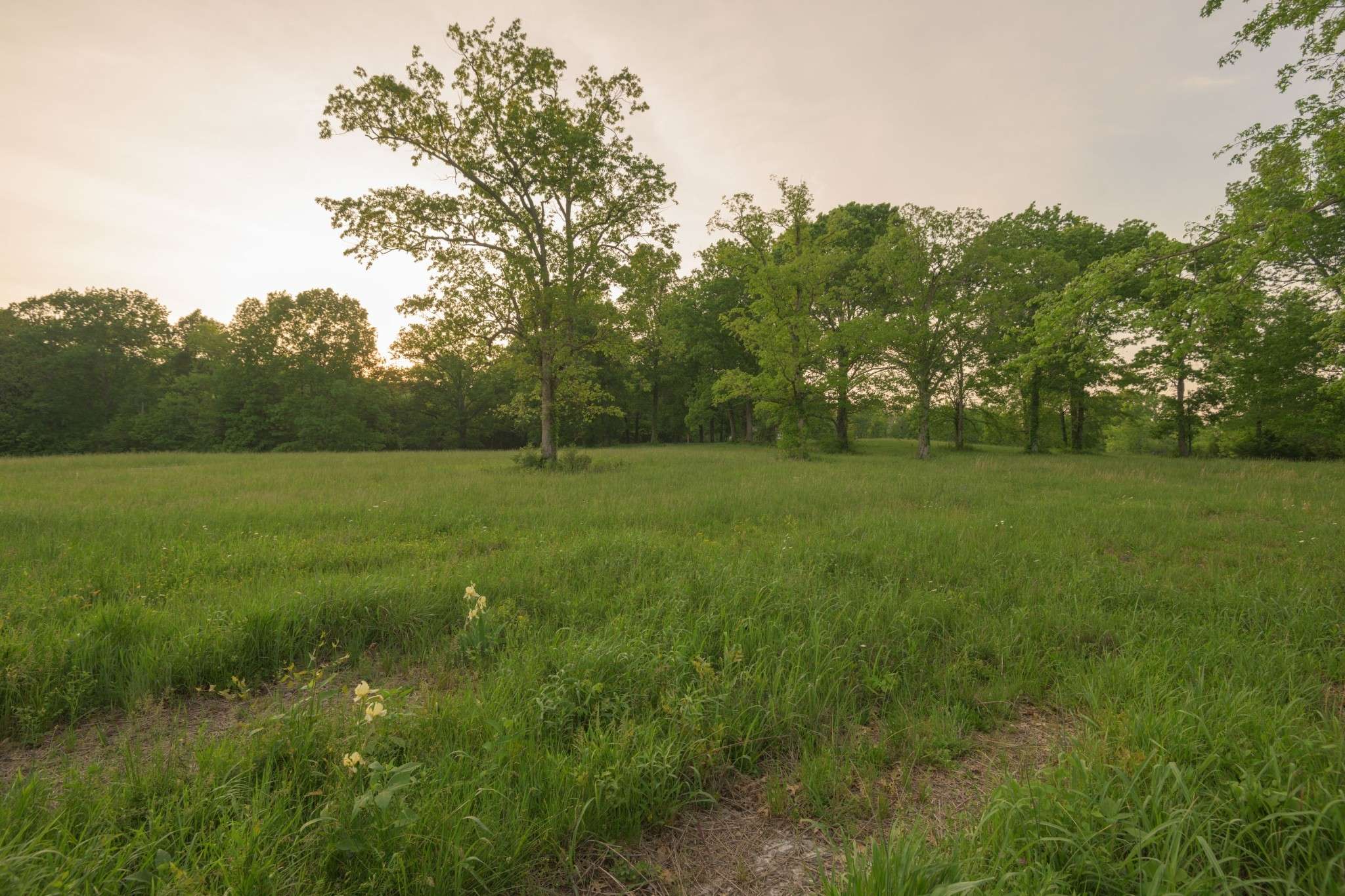775 Railroad Rd, Wartrace, TN 37183