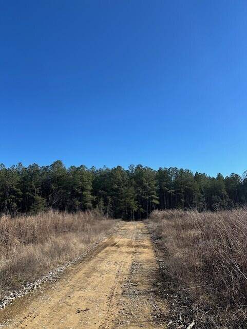 4 50th Avenue, Gruetli Laager, TN 37339