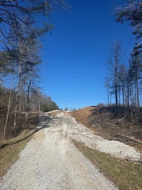 4 50th Avenue, Gruetli Laager, TN 37339