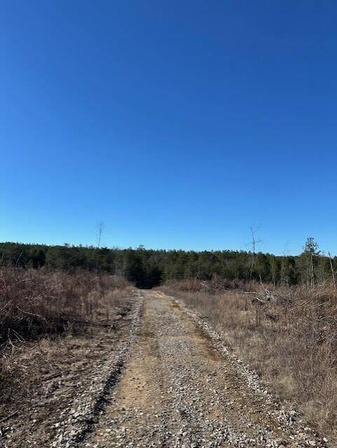 5 50th Avenue, Gruetli Laager, TN 37339