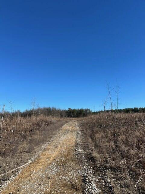 5 50th Avenue, Gruetli Laager, TN 37339