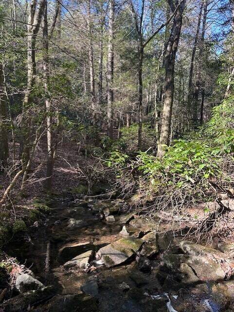 6 50th Avenue, Gruetli Laager, TN 37339