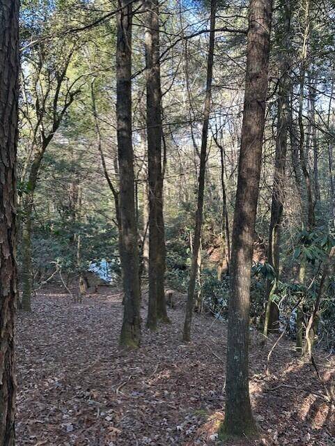 7 50th Avenue, Gruetli Laager, TN 37339