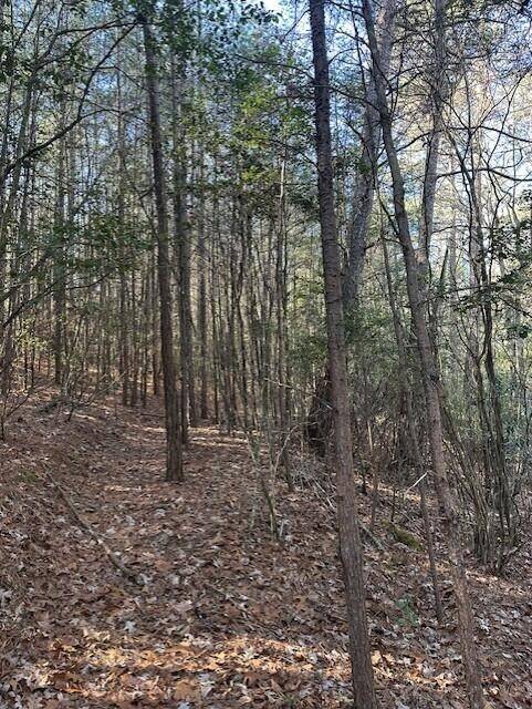 7 50th Avenue, Gruetli Laager, TN 37339