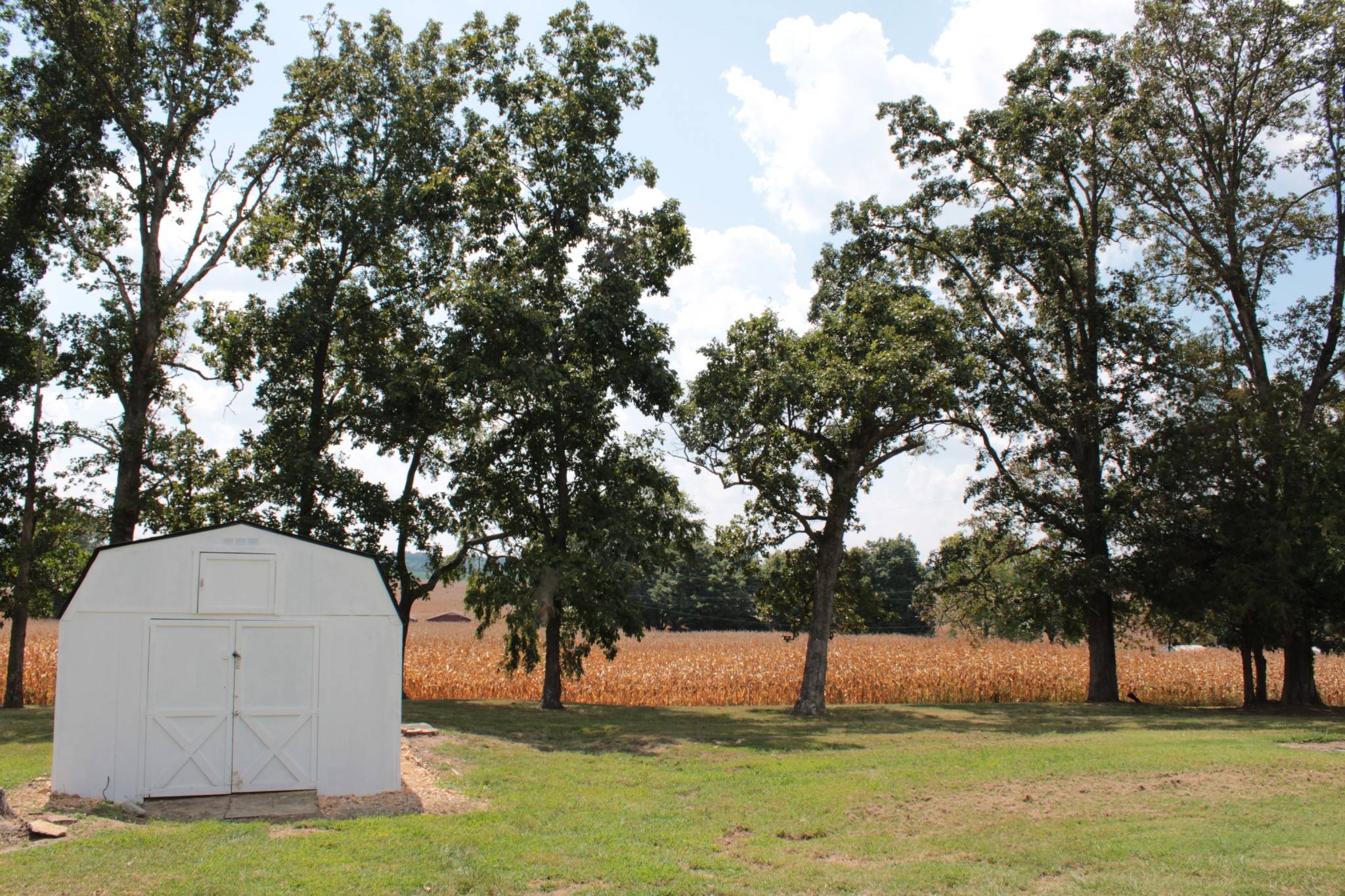 8285 Pilot Rock Rd, Hopkinsville, KY 42240