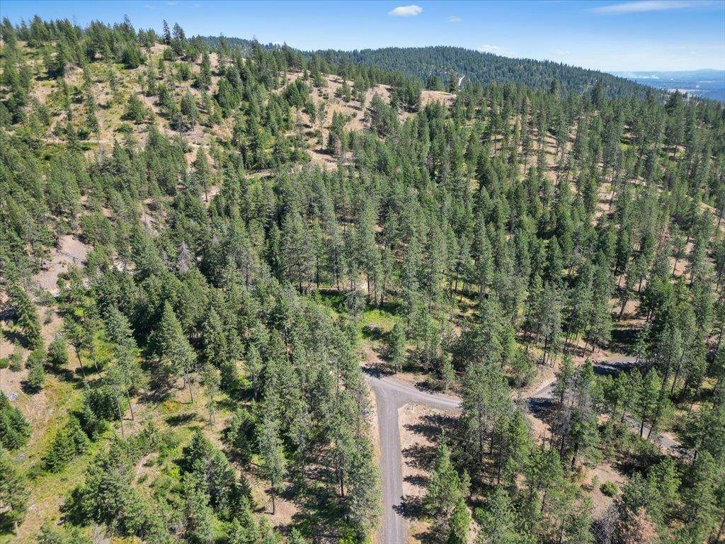 NKA Weaver WAY #Lot 3 of Lot 1, Deer Park, WA 99006