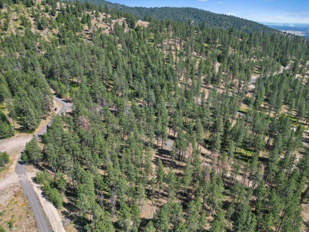 NKA Weaver WAY #Lot 2 of Lot 1, Deer Park, WA 99006