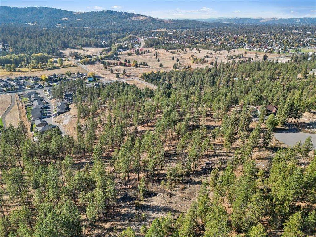 12616 E Chester Ridge Ln #Lot 6, Spokane, WA 99206