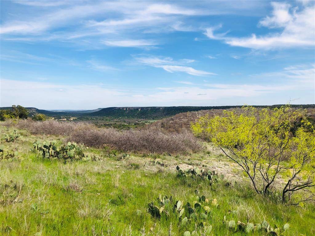 Lot 220 Oak Tree Drive, Possum Kingdom Lake, TX 76449