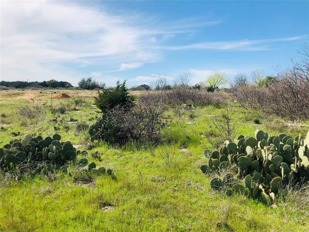 Lot 220 Oak Tree Drive, Possum Kingdom Lake, TX 76449