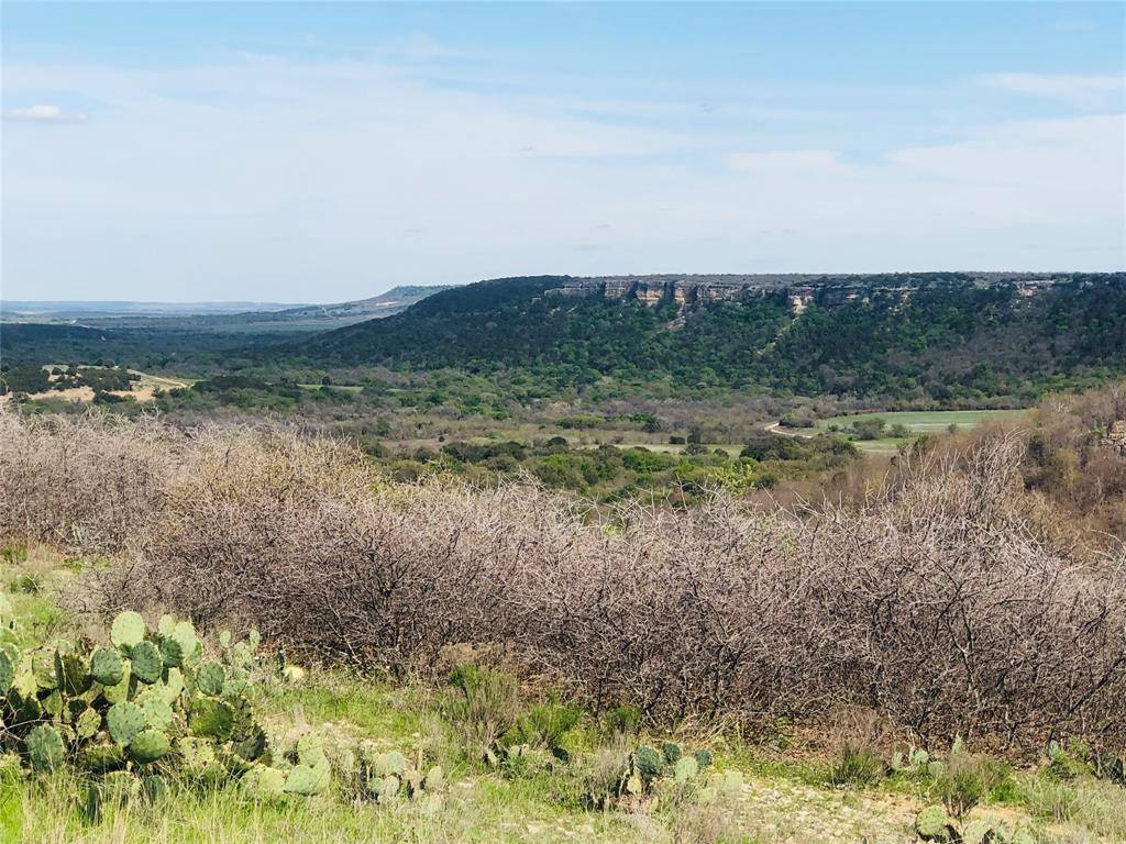 Lot 220 Oak Tree Drive, Possum Kingdom Lake, TX 76449