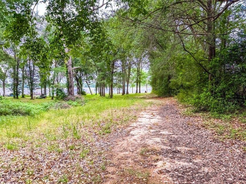 TBD County Road 891, Jewett, TX 75846