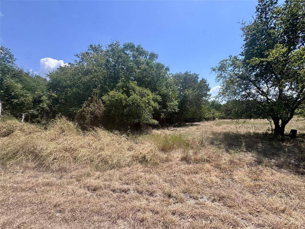 32028 Dove Trail, Whitney, TX 76692