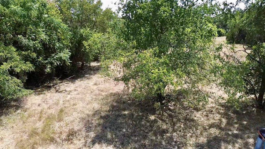 32028 Dove Trail, Whitney, TX 76692