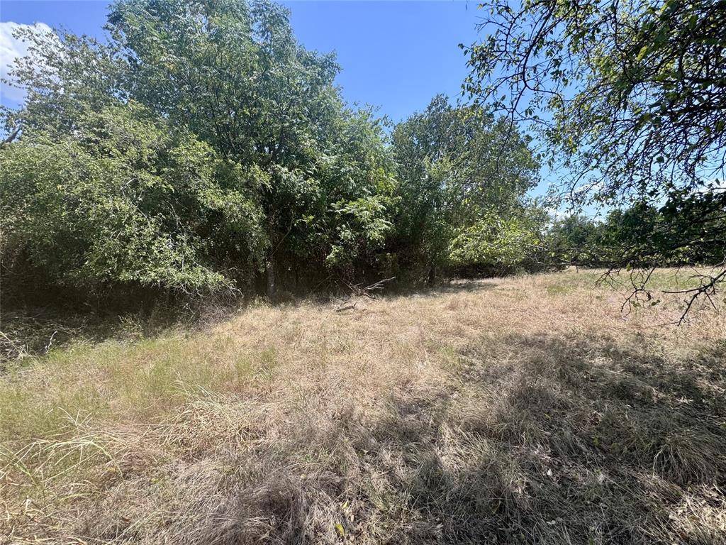 32028 Dove Trail, Whitney, TX 76692