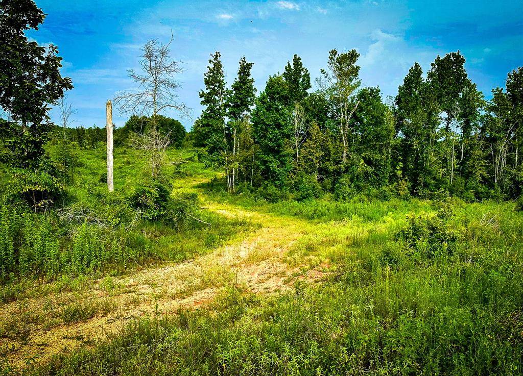 TBD Segno Fire Lane, Livingston, TX 77371