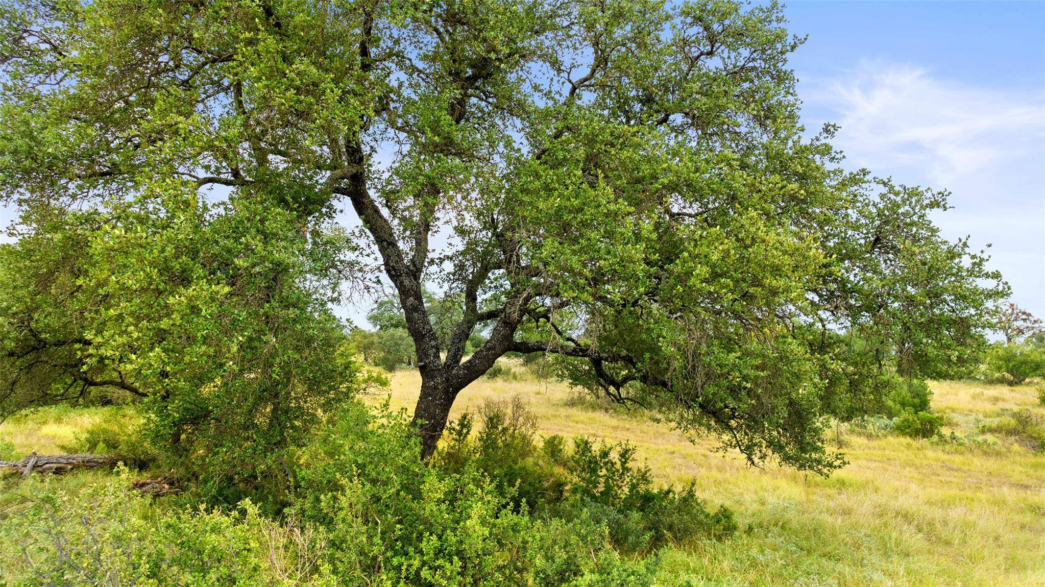 Lot 37 Vista Ridge DR, Round Mountain, TX 78663
