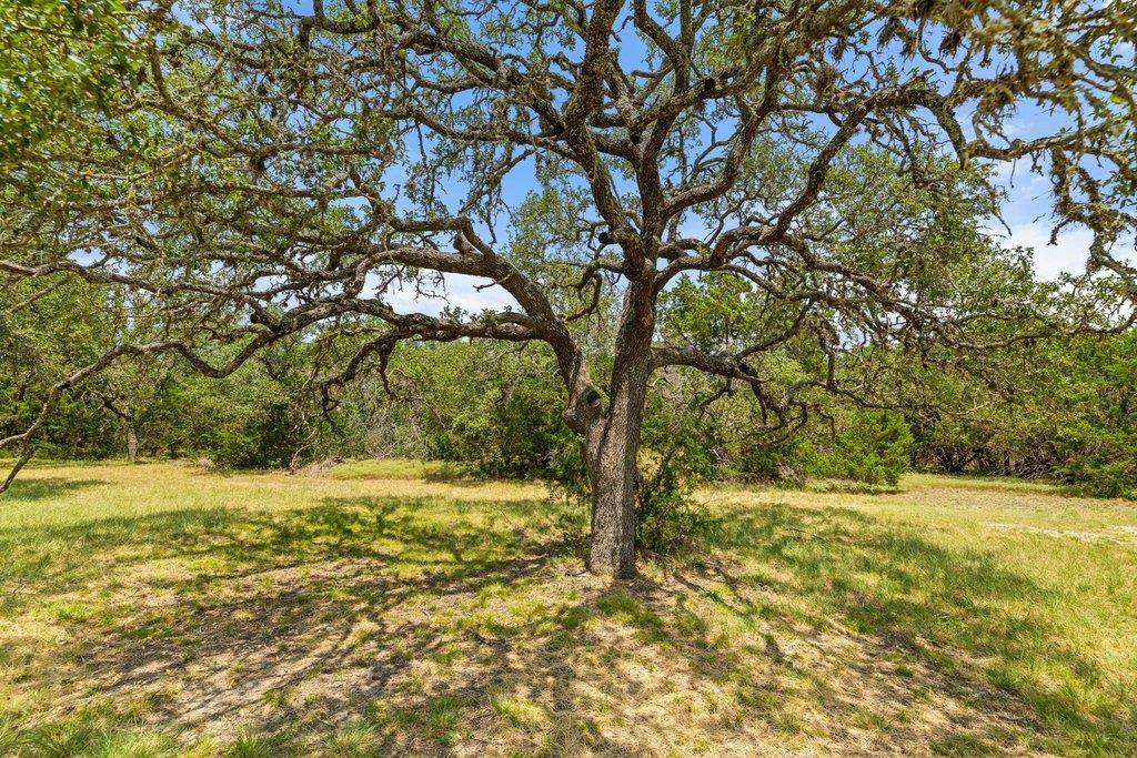 1984 N Grape Creek RD, Fredericksburg, TX 78624