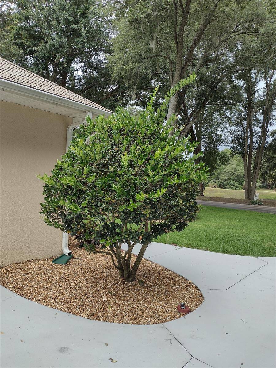 592 DOWLING CIR, Lady Lake, FL 32159