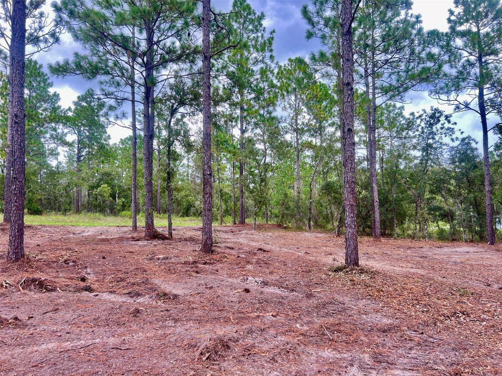 16 SW ANCHOR BLVD, Dunnellon, FL 34431