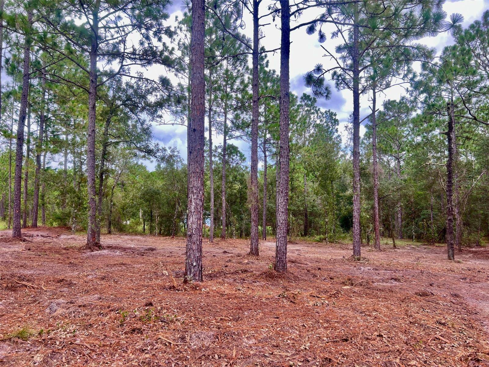 16 SW ANCHOR BLVD, Dunnellon, FL 34431