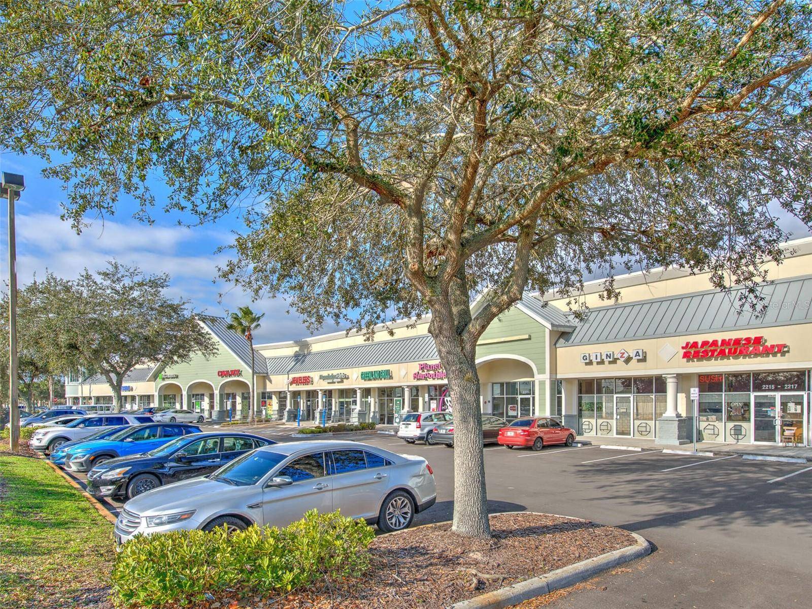 2215 COLLIER PARKWAY, Land O Lakes, FL 34639