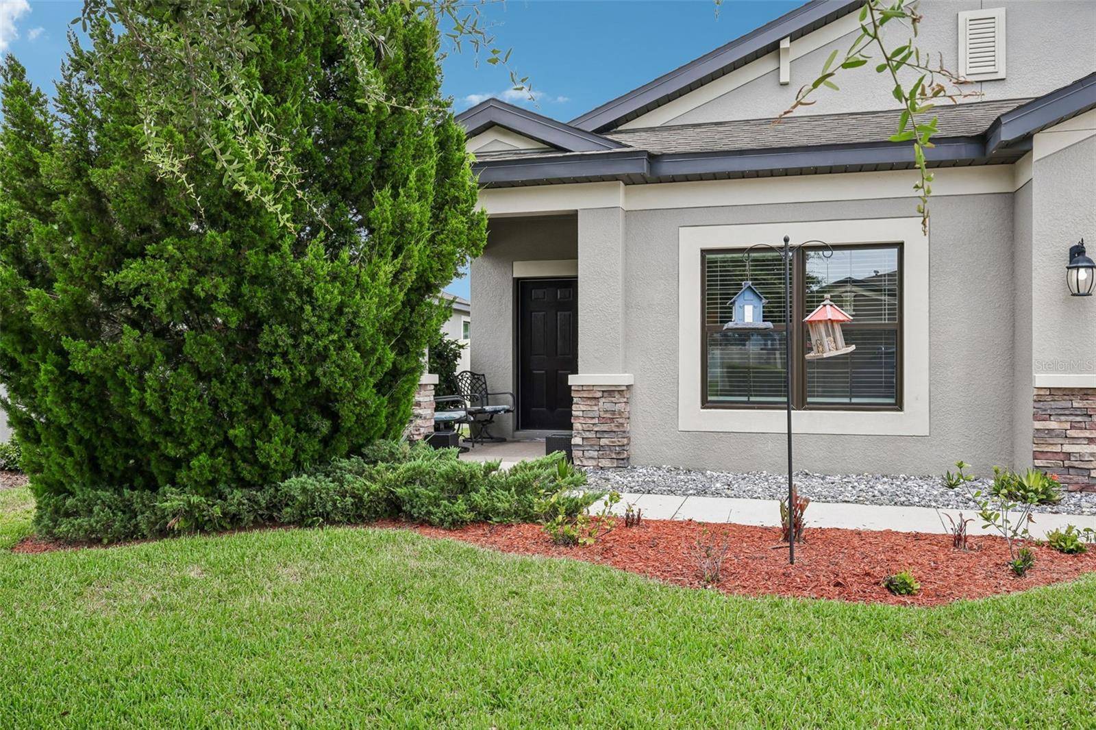8210 MALLOW MIRROR LN, Land O Lakes, FL 34637
