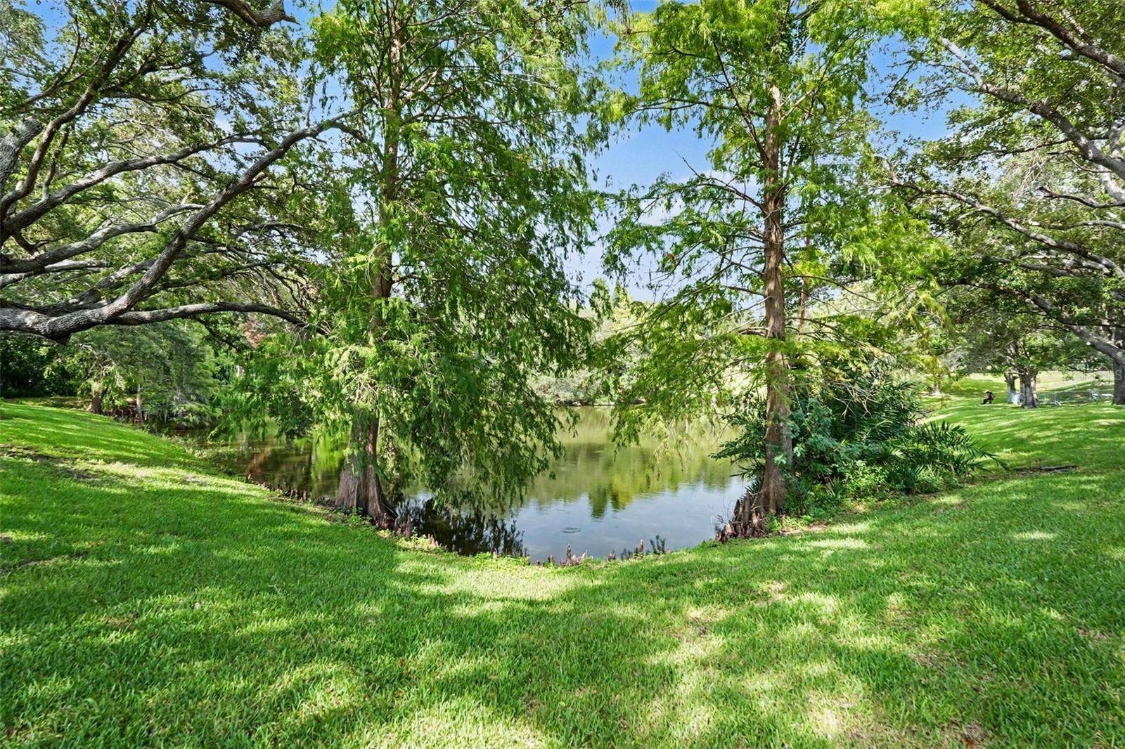 491 EXMOOR TER #1695, Dunedin, FL 34698