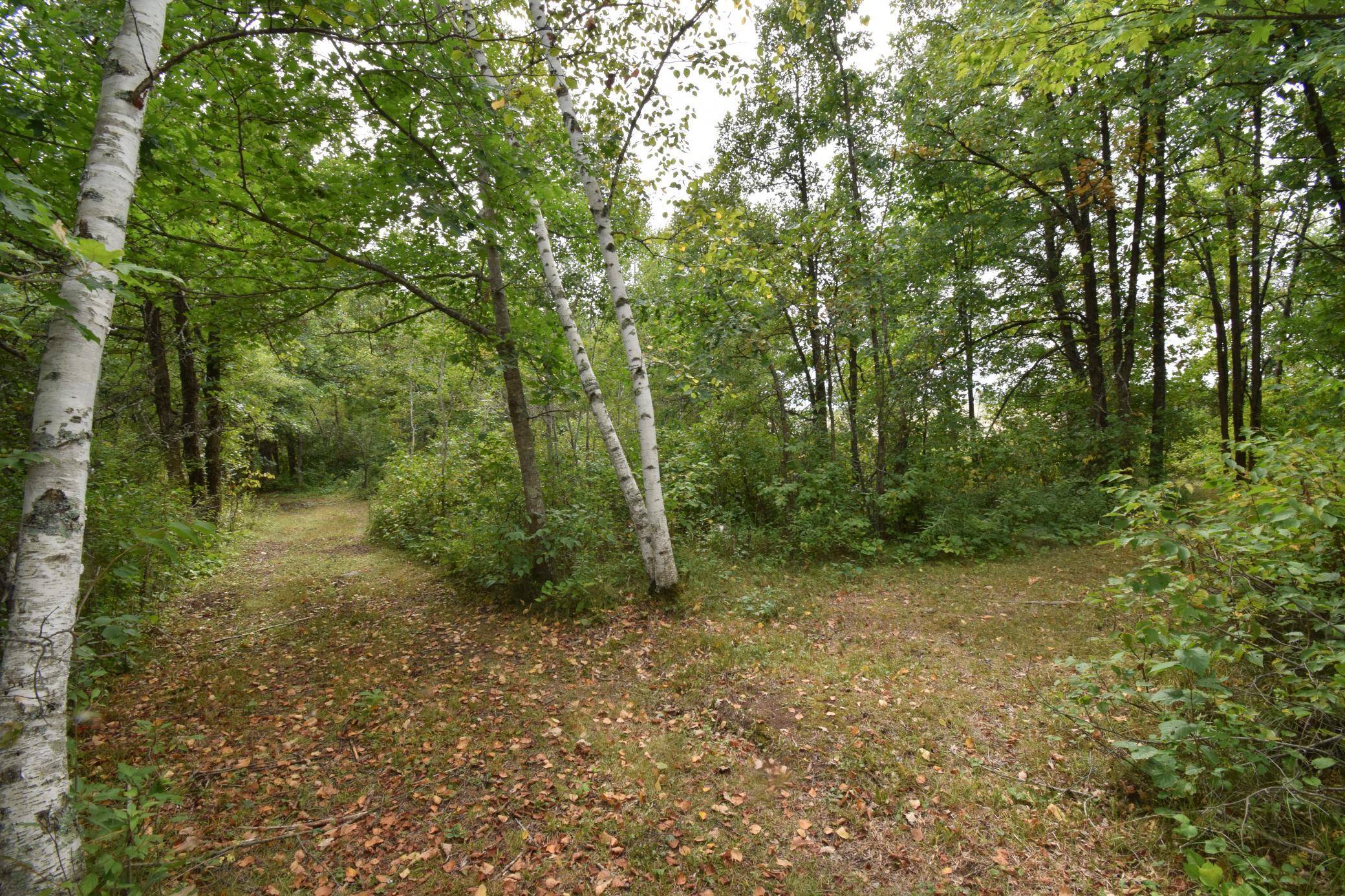 TBD HWY 77, Danbury, WI 54830