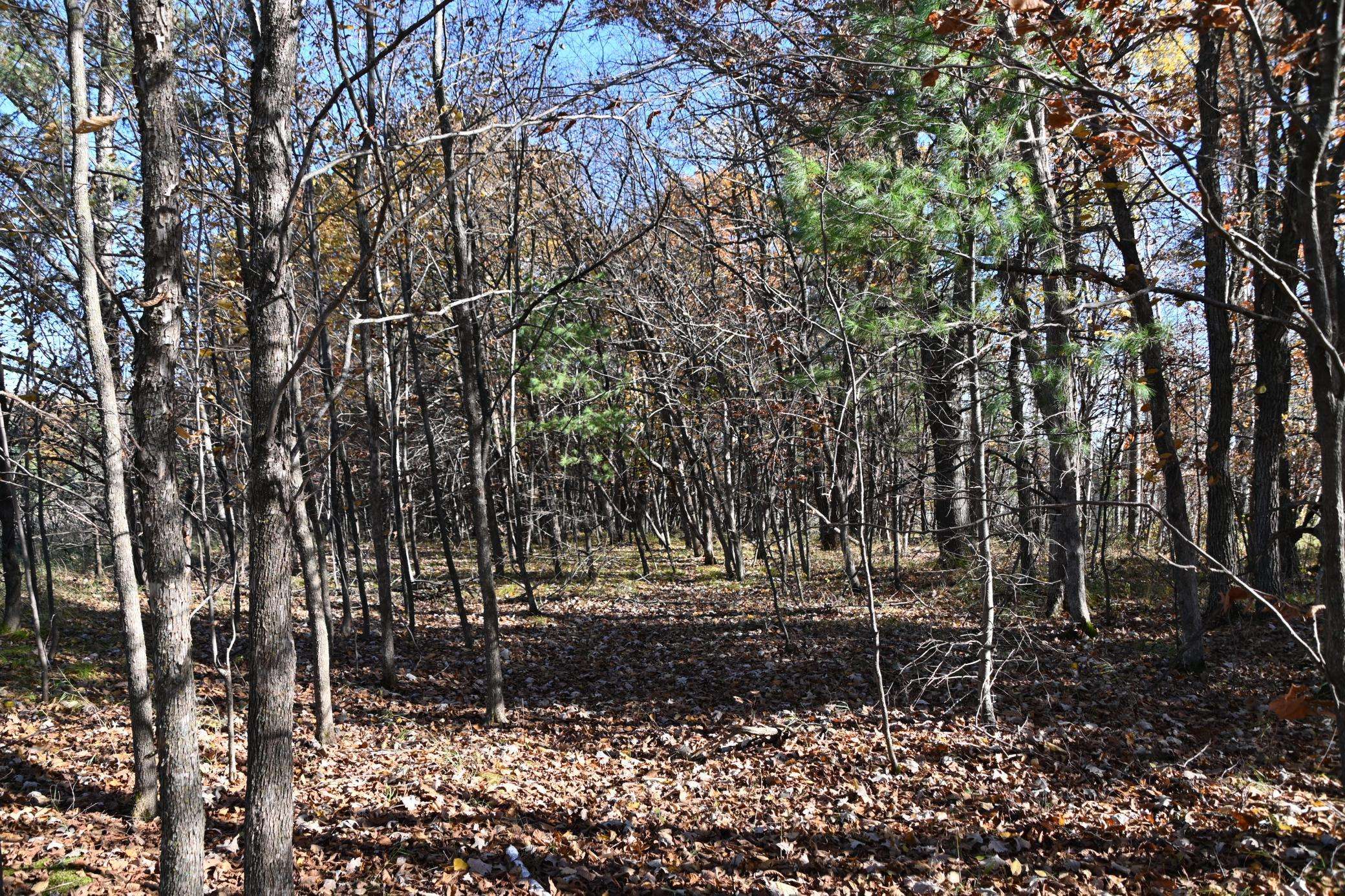 TBD Pacer LOOP, Browerville, MN 56438
