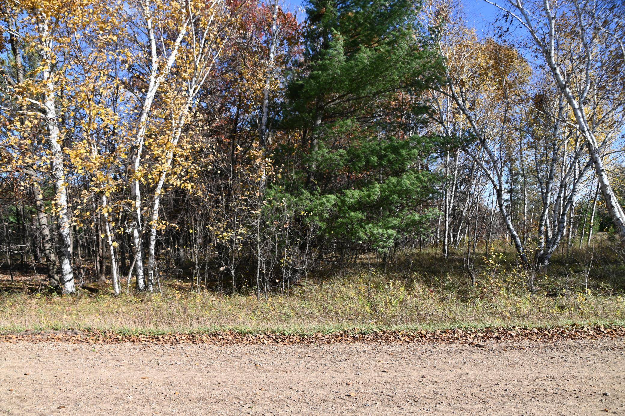 TBD Pacer LOOP, Browerville, MN 56438